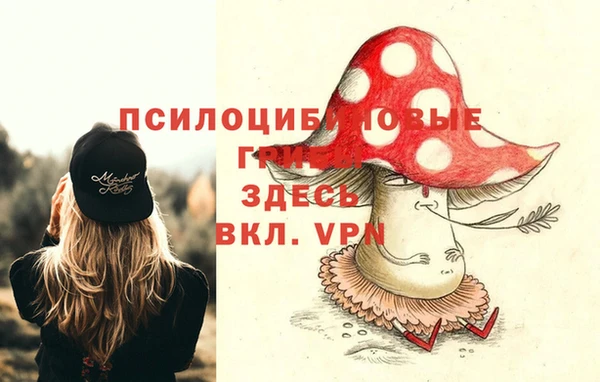 трава Абаза
